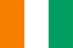 科特迪瓦队旗